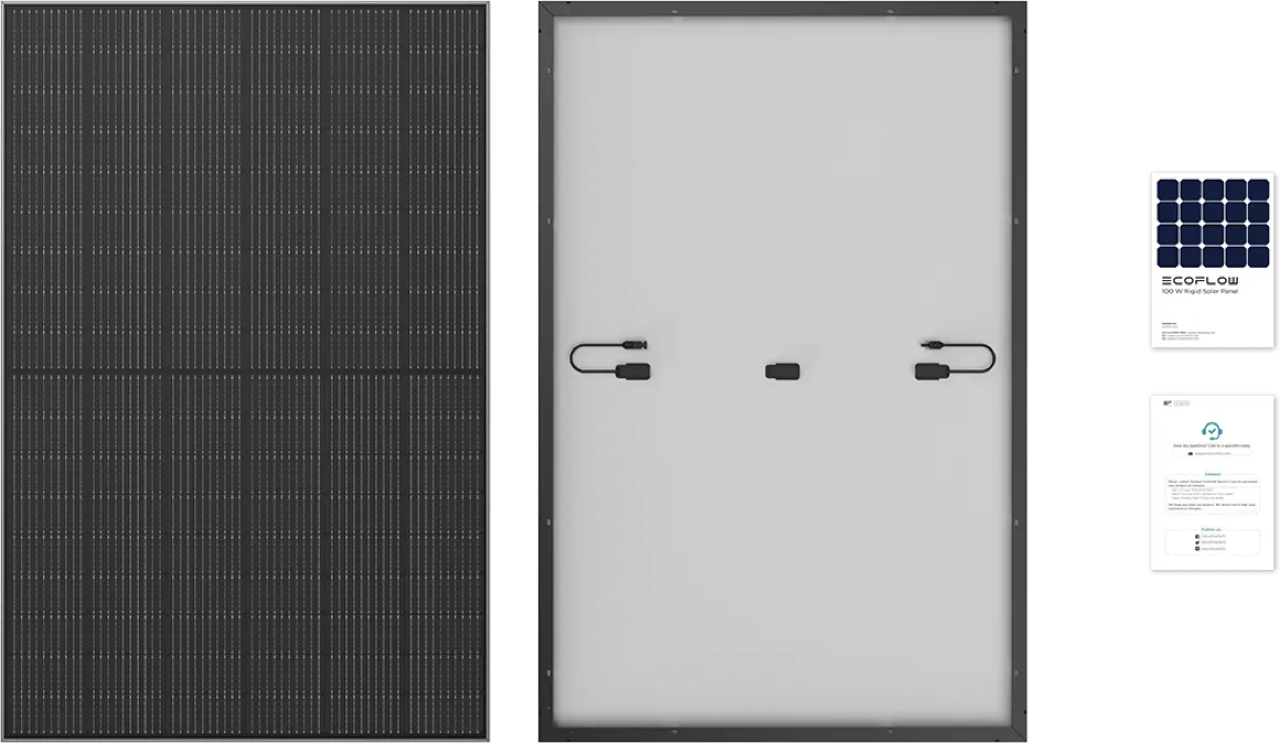 What's in the box?
