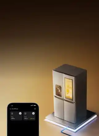 EcoFlow Image