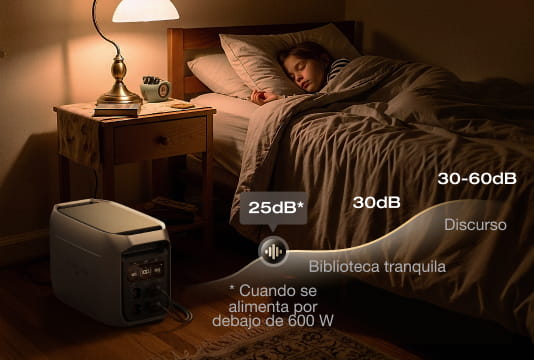 EcoFlow Image