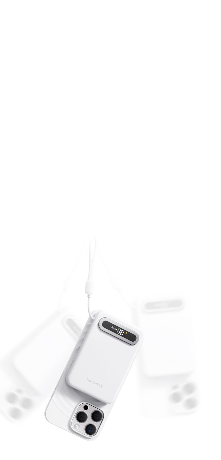EcoFlow Image