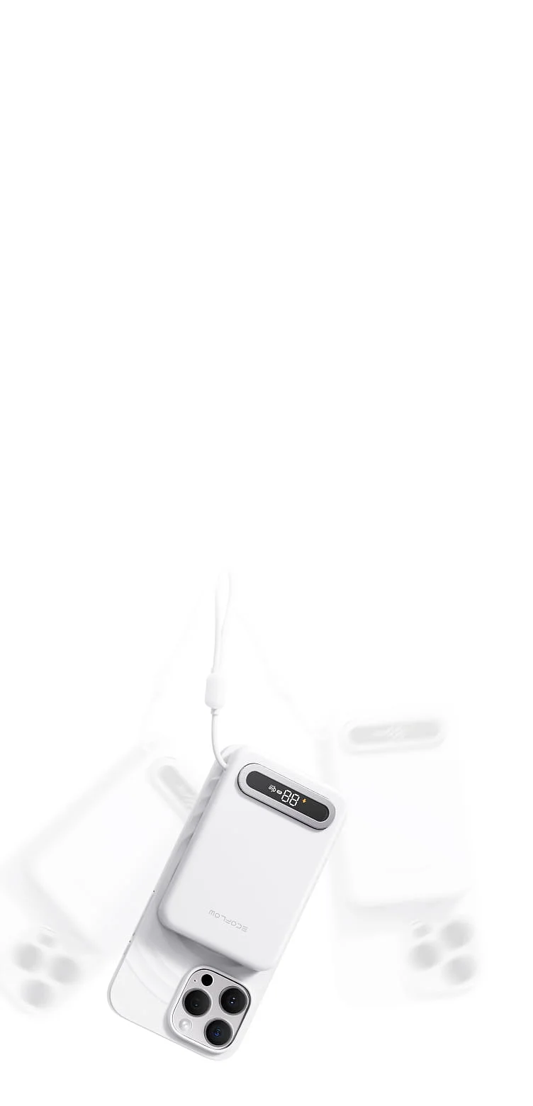 EcoFlow Image