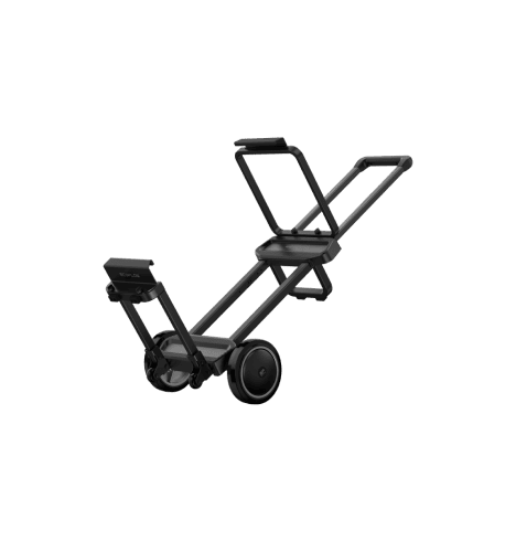 EcoFlow Trolley
