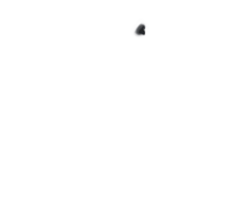 EcoFlow Image