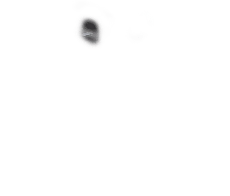 EcoFlow Image