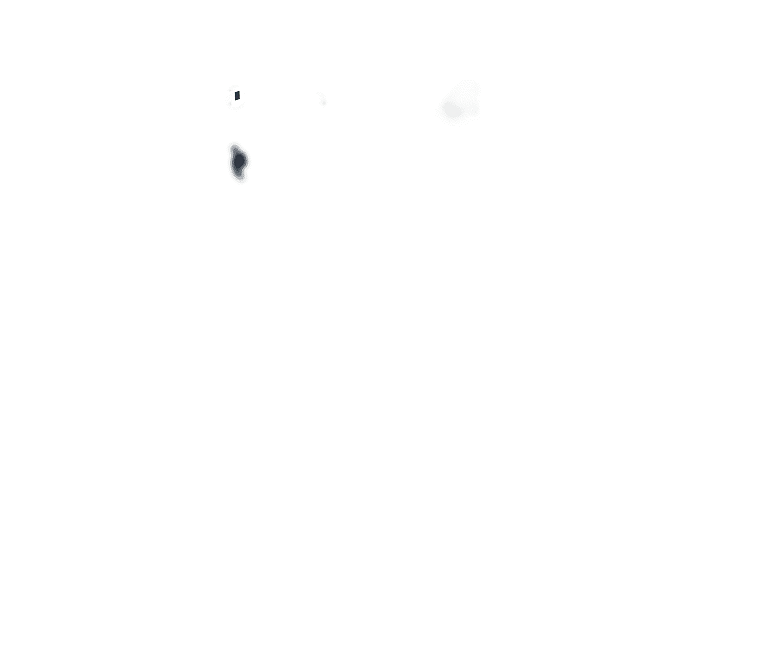 EcoFlow Image