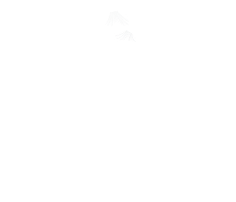 EcoFlow Image