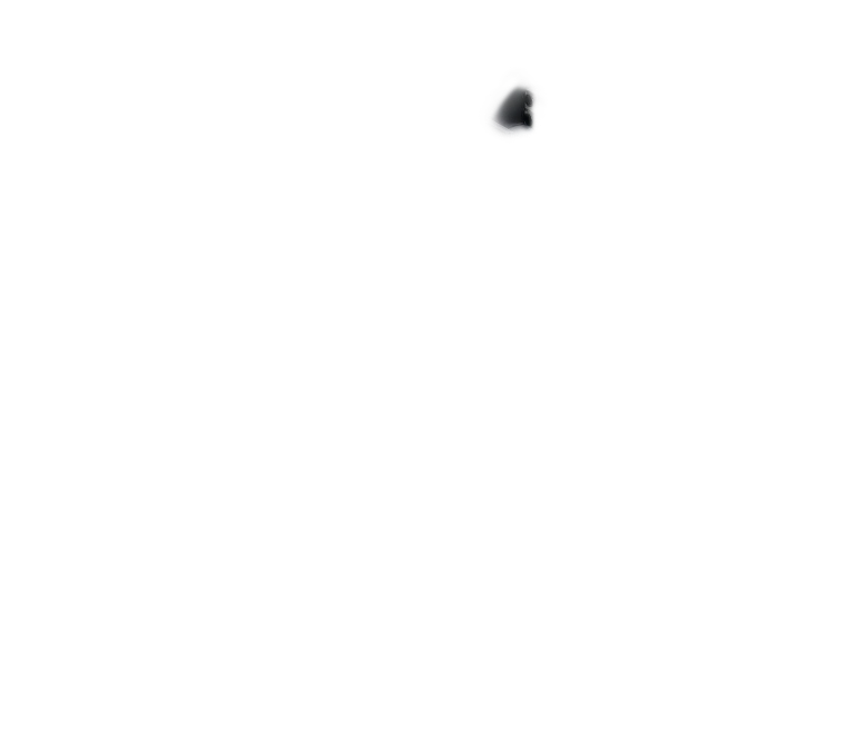 EcoFlow Image