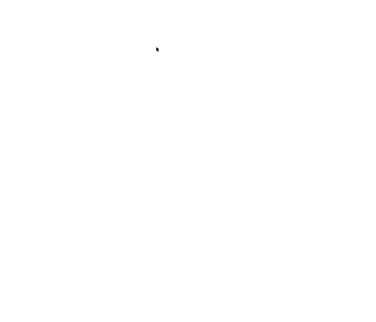 EcoFlow Image