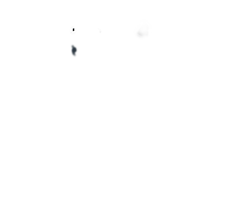 EcoFlow Image