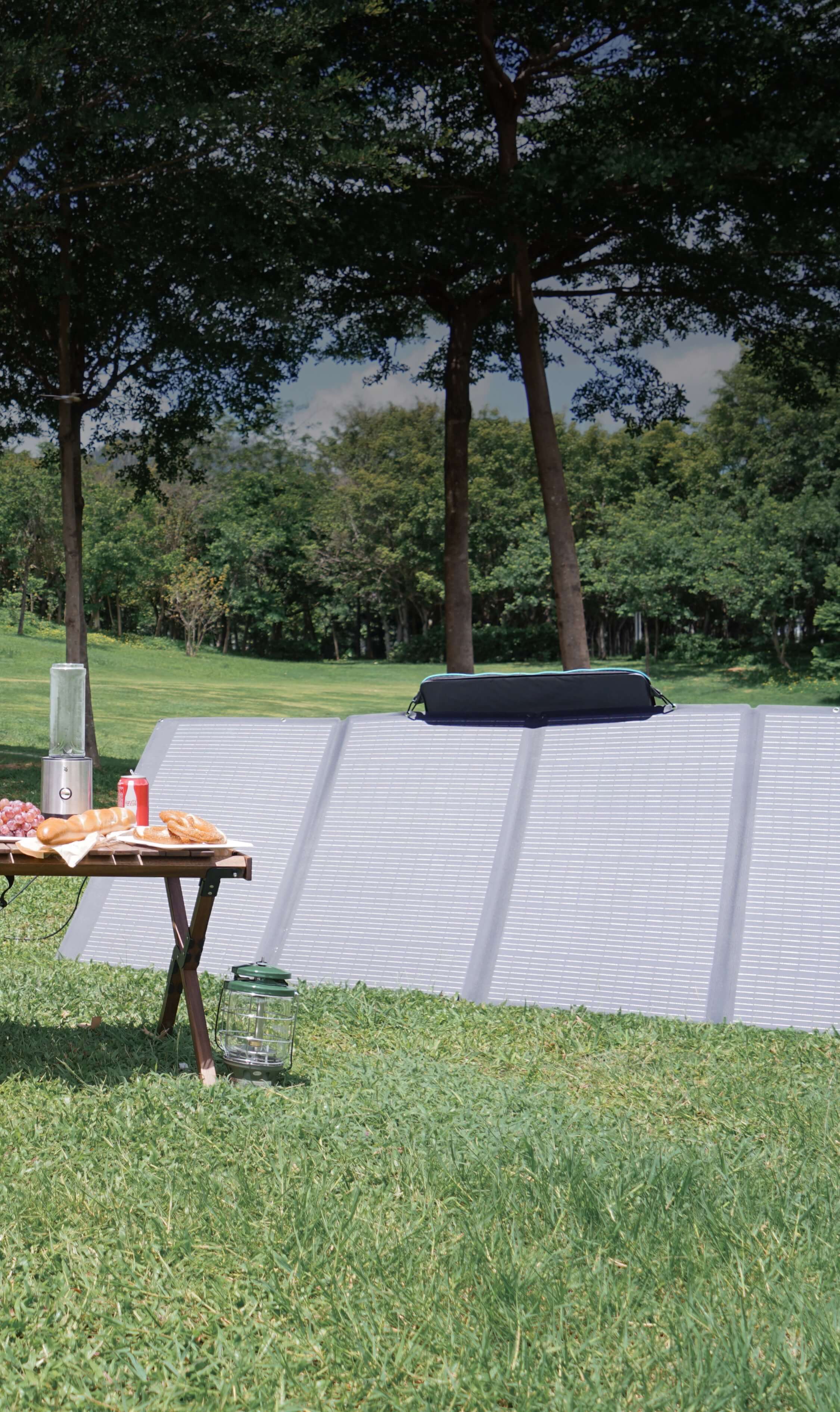 EF ECOFLOW Panel solar portátil de 400 W, plegable y duradero, completo con  una funda ajustable, impermeable IP68 para aventuras al aire libre