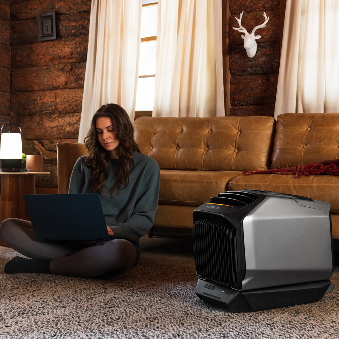Ecoflow Wave 2 Review: Air conditioning that goes anywhere