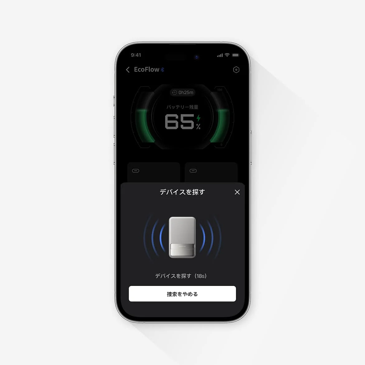 EcoFlow Image
