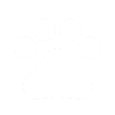EcoFlow Image