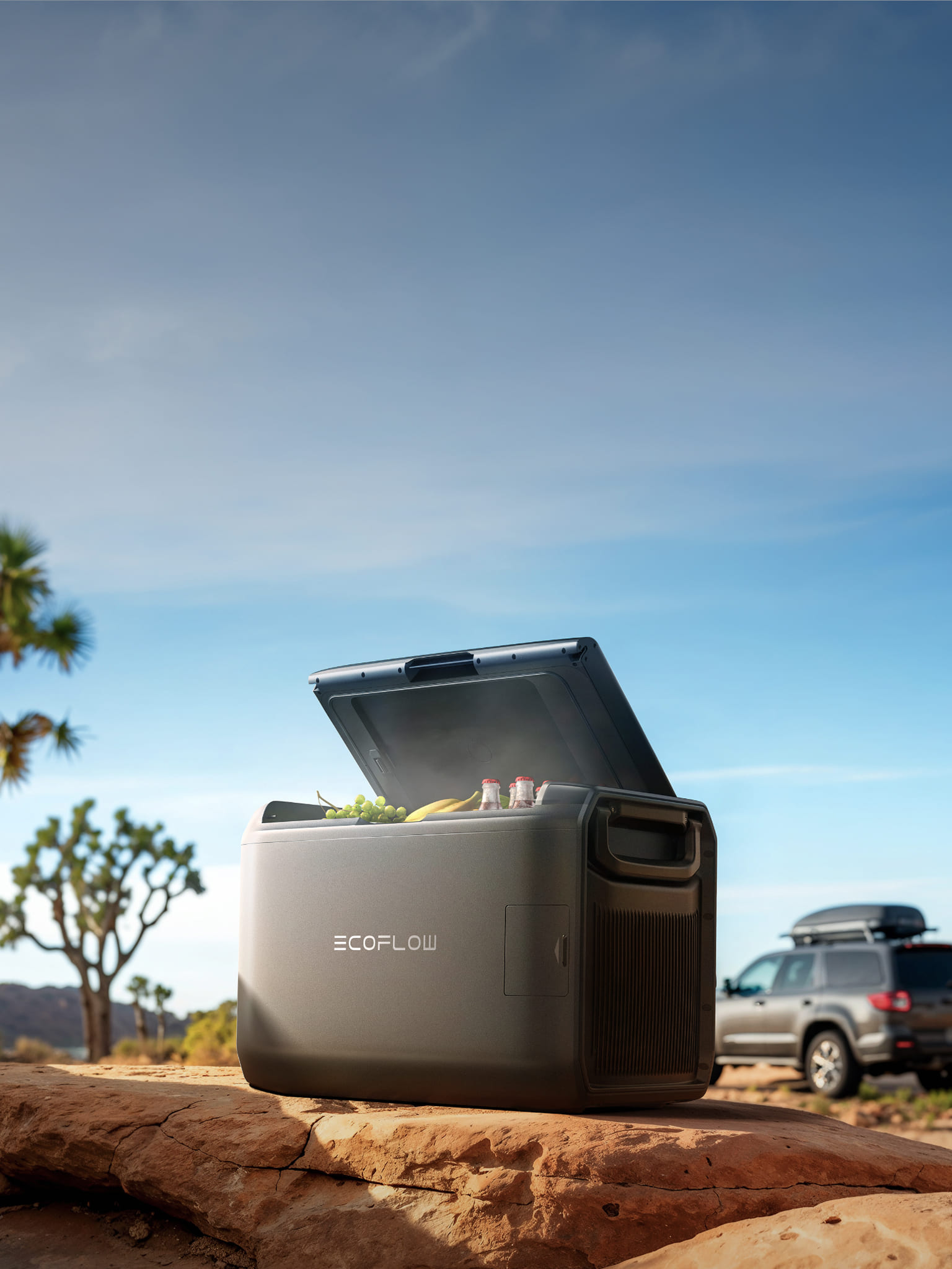 EcoFlow GLACIER Classic Portable Refrigerator | EcoFlow US