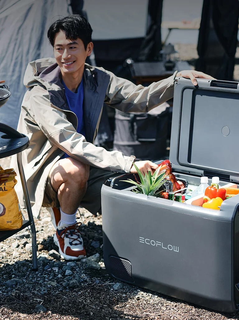 EcoFlow Image