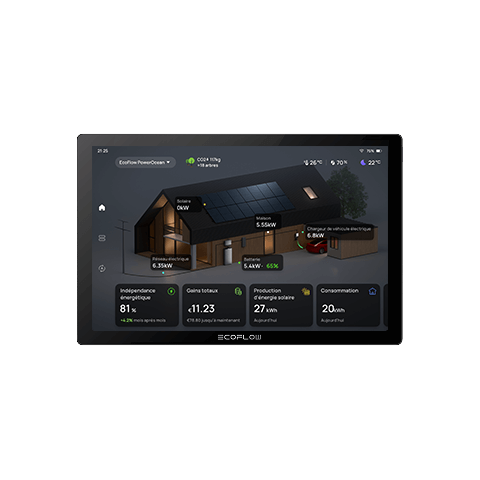 EcoFlow Powerlnsight Home Energy Monitor