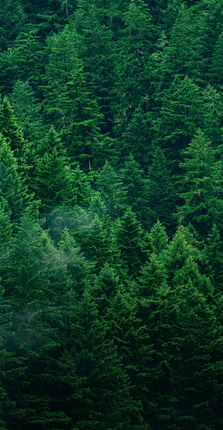 EcoFlow Image