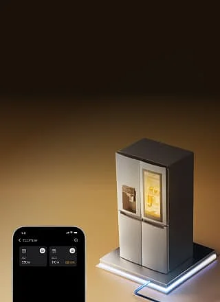EcoFlow Image