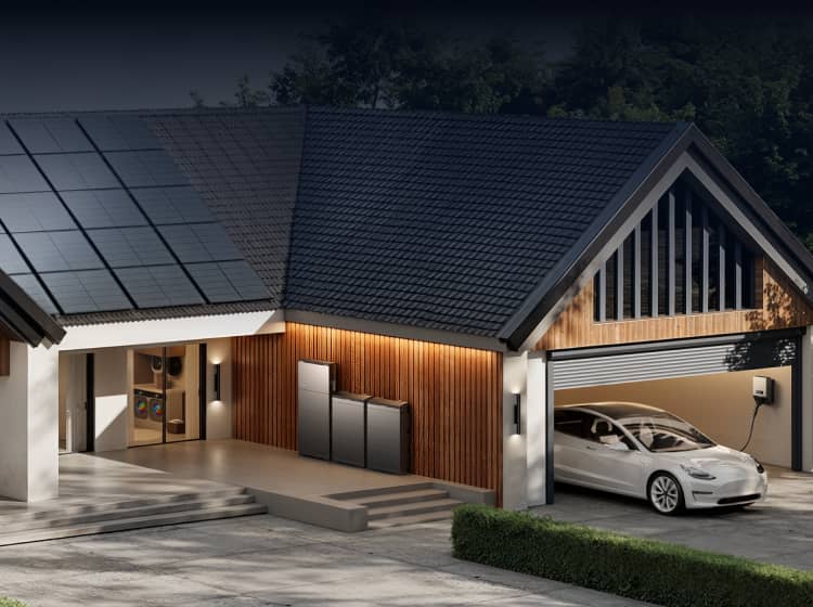 EcoFlow OCEAN 2 LFP battery packs with 10,000+ battery cycles