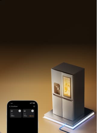 EcoFlow Image