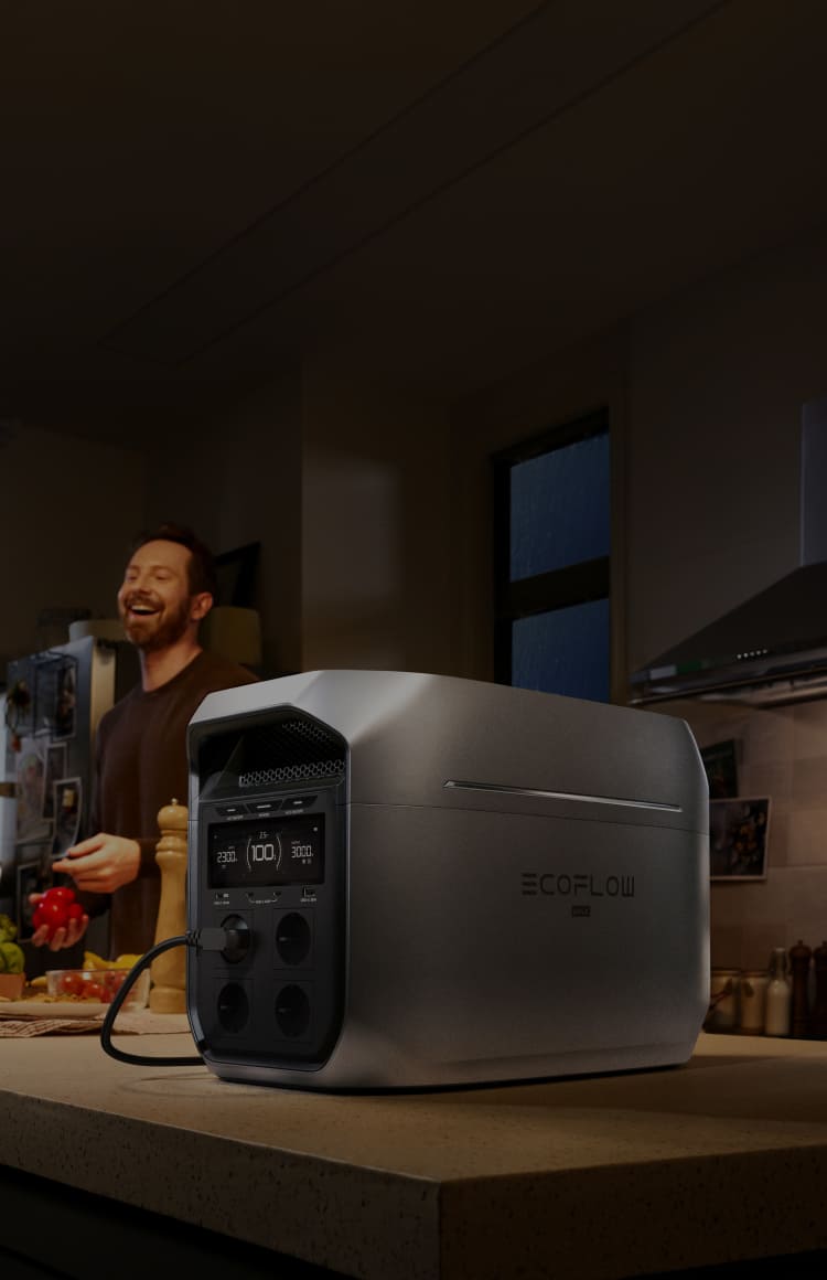 EcoFlow Image