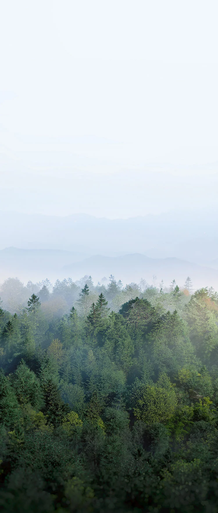 EcoFlow Image