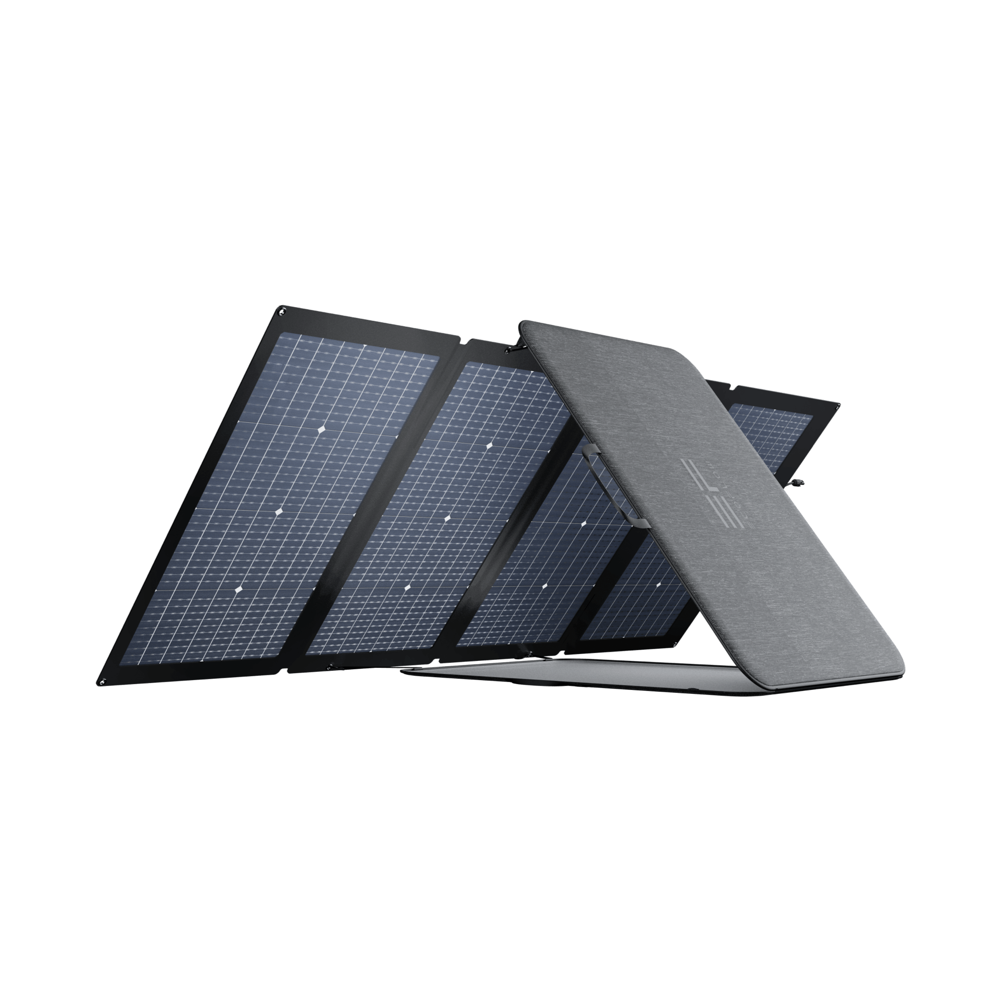 EcoFlow-pannello fotovoltaico rigido 100 Watt-Aquaponic Design